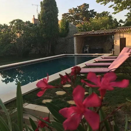 La Rochelle L'ile De Re Autrement *